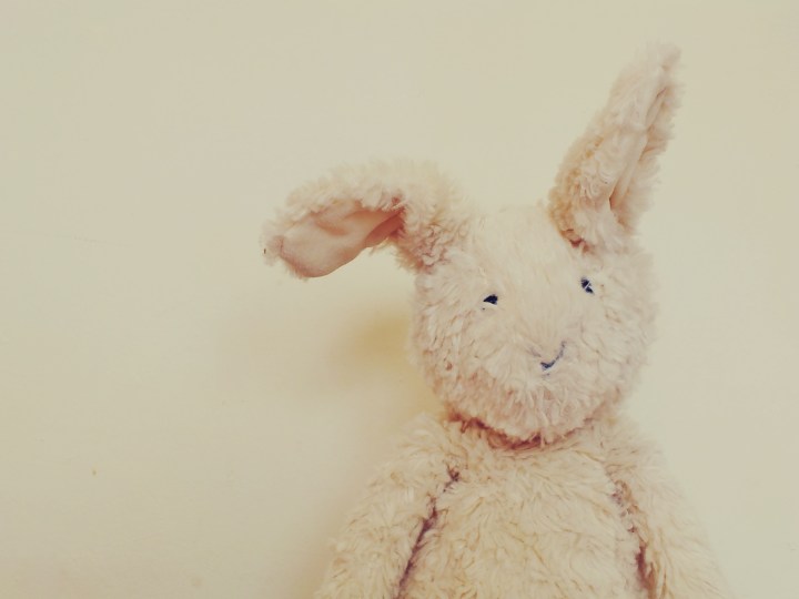etsybunny